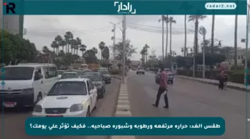 طقس الغد: حرارة مرتفعة ورطوبة وشبورة صباحية.. فكيف تؤثر على يومك؟